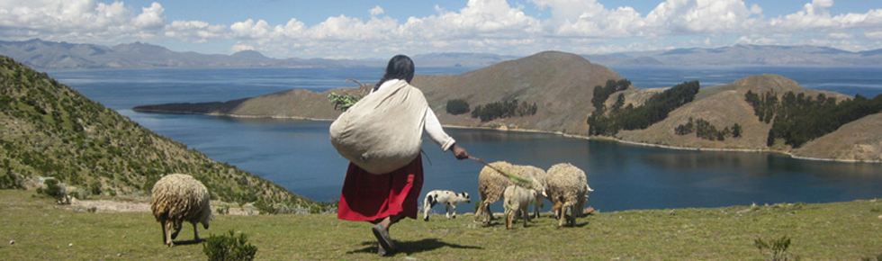 shepherd and sheep