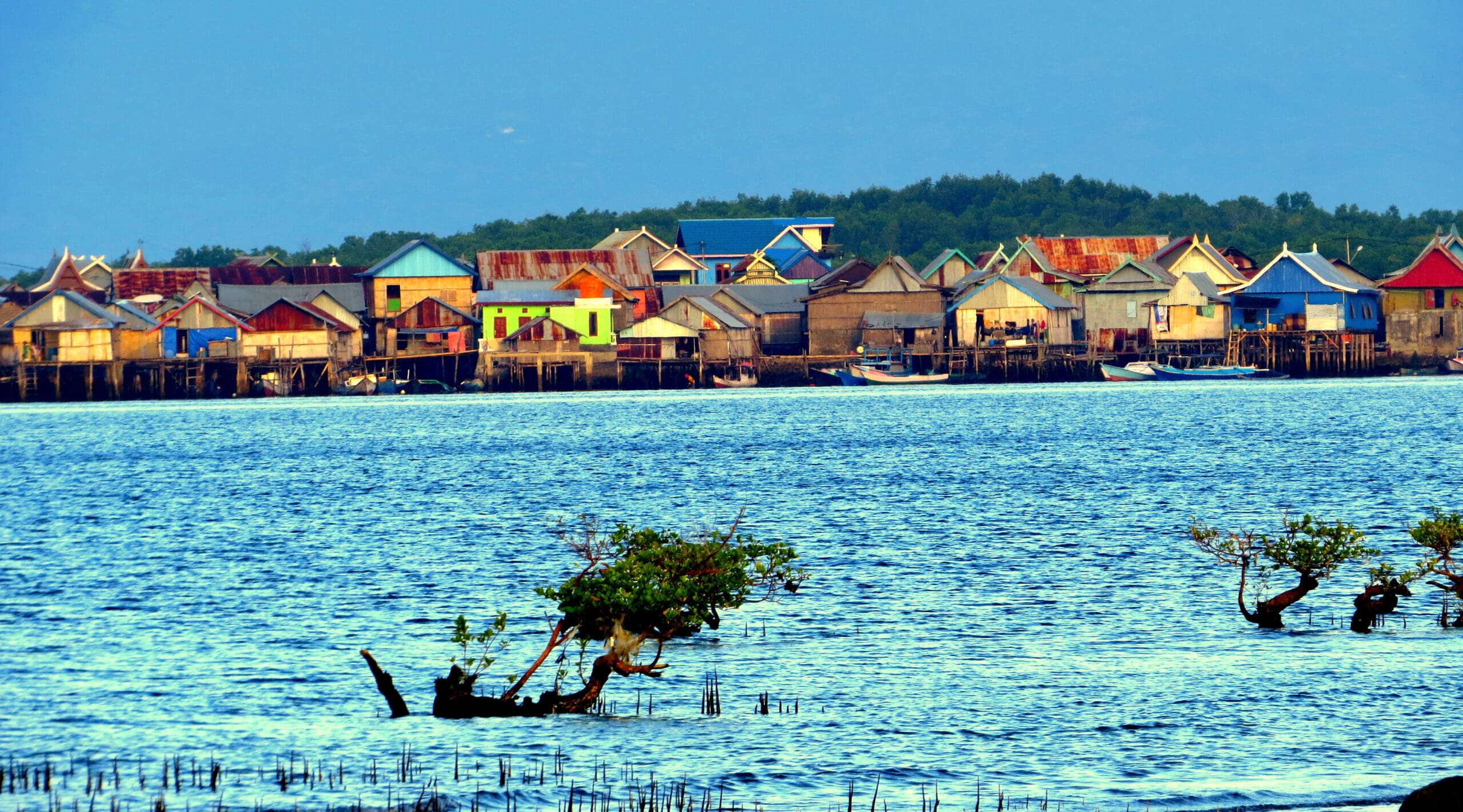 Annual Reports International Union for Conservation of Nature